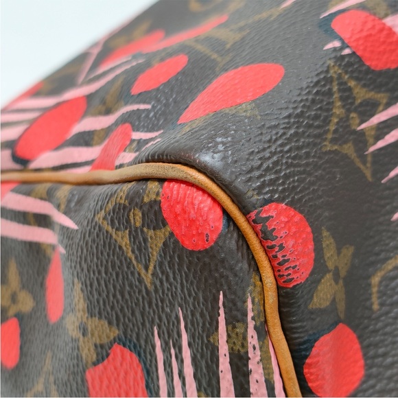 Louis Vuitton Jungle Palm Spring Speedy 30 - Picture 8 of 16